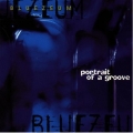 Bluezeum - Portrait of a Groove Bluezeum - Portrait of a Groove